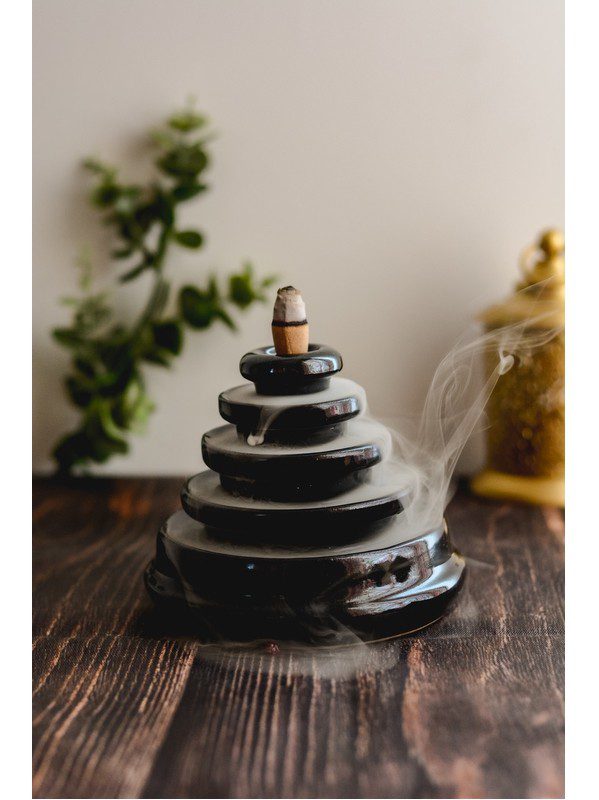 Boite Encens en Cone Sang de Dragon Organics 12 pieces – Image 2