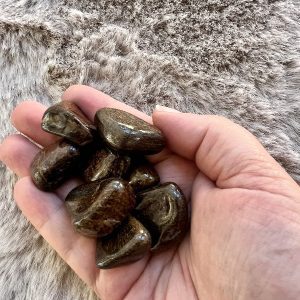 Pierre Roulée Bronzite Stabilité - Enracinement 15gr