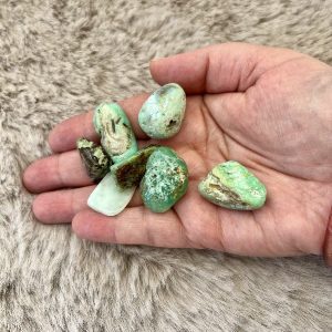 Pierre Roulée Chrysoprase Ouverture émotionnelle 5-10gr