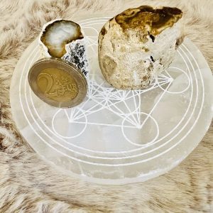 Bois Fossilisé Petit Modele 15 à 30gr