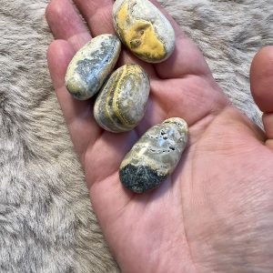 Pierre Roulée Jaspe Bumblebee Sérénité - Objectifs 15gr