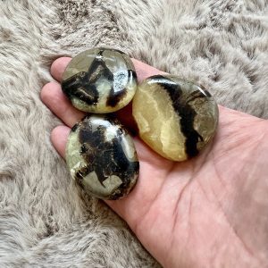 Galet de Septaria - Libération  Confiance en Soi