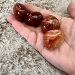 Pierre Roulée Cornaline Vitalité - Assurance 20-30gr