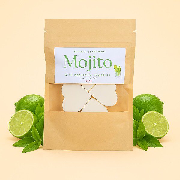 Sachet 4 fondants Parfum Mojito 20gr